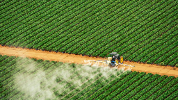 Best Best Pest Control Companies  in Sterling, KS
